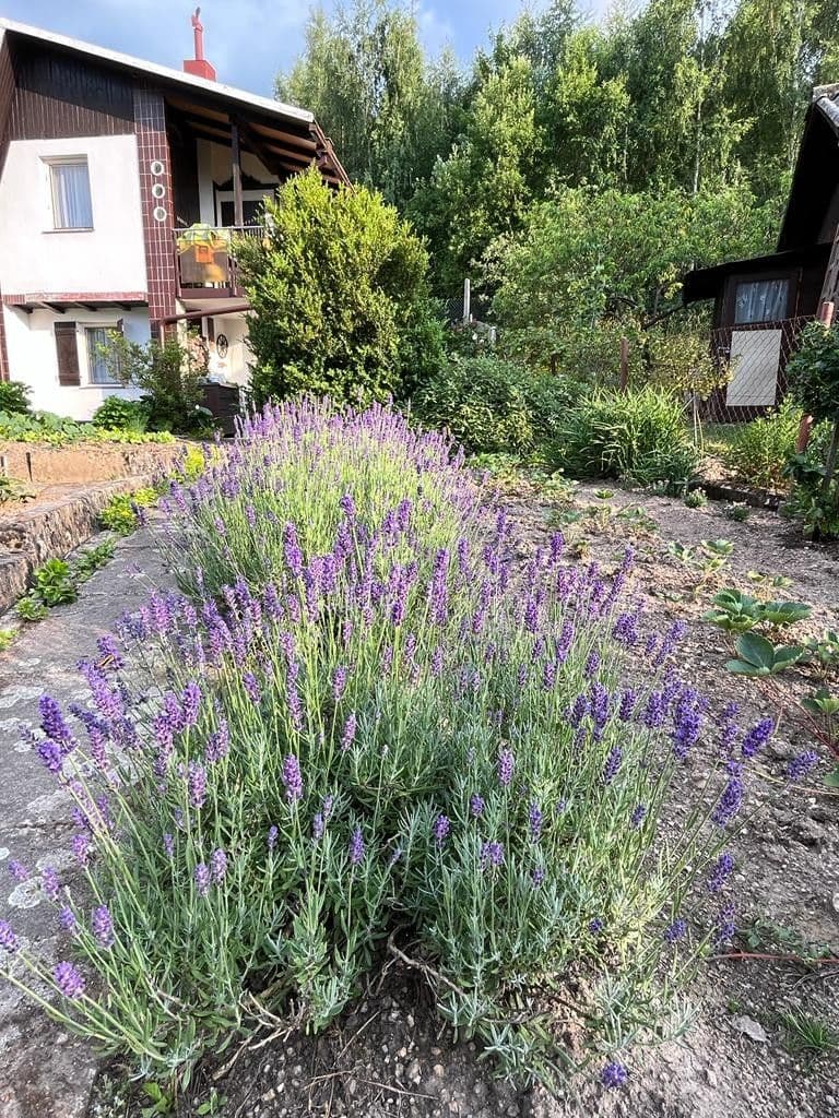 recreational property for sale, 357 m², Karlovy Vary, Karlovarský Region recreational property for sale, 357 m², Karlovy Vary, Karlovarský Region