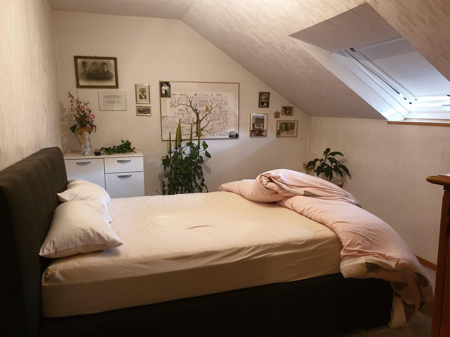 house for sale, 290 m², Neuhofer Straße 34, Neckargemünd, Baden-Württemberg house for sale, 290 m², Neuhofer Straße 34, Neckargemünd, Baden-Württemberg