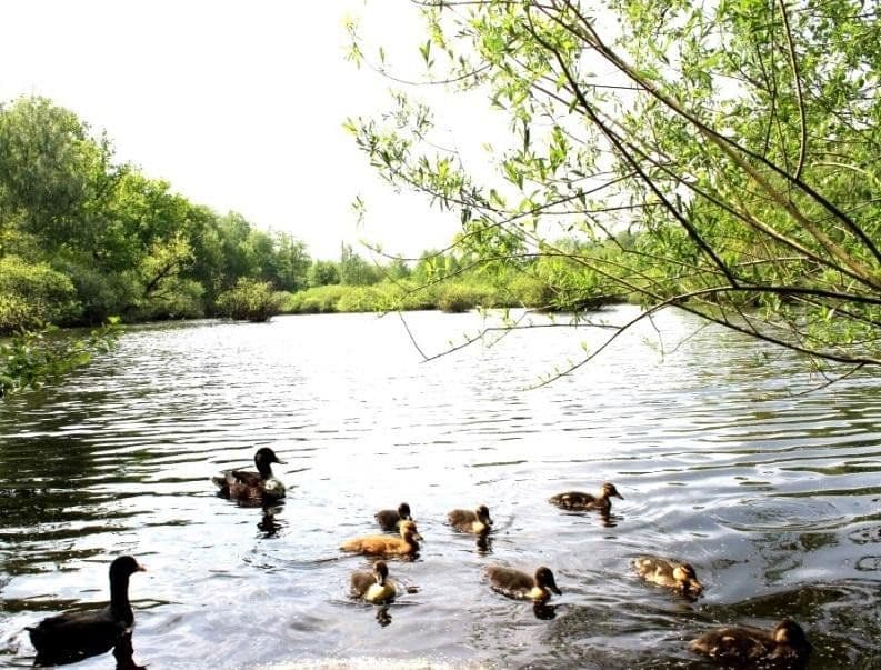 4 bedroom flat for sale, 67 m², Hamburg, Hamburg 4 bedroom flat for sale, 67 m², Hamburg, Hamburg