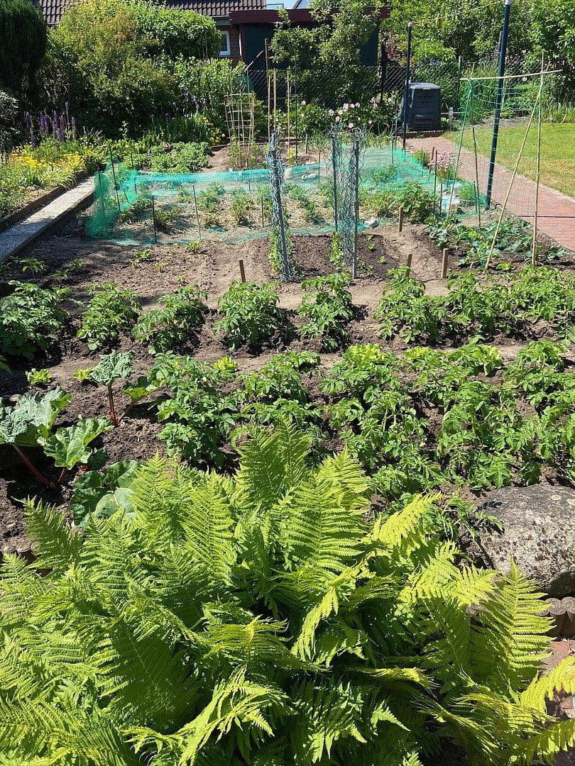 house for sale, 113 m², Wilhelm-Busch-Straße 22, Neumünster, Schleswig-Holstein house for sale, 113 m², Wilhelm-Busch-Straße 22, Neumünster, Schleswig-Holstein