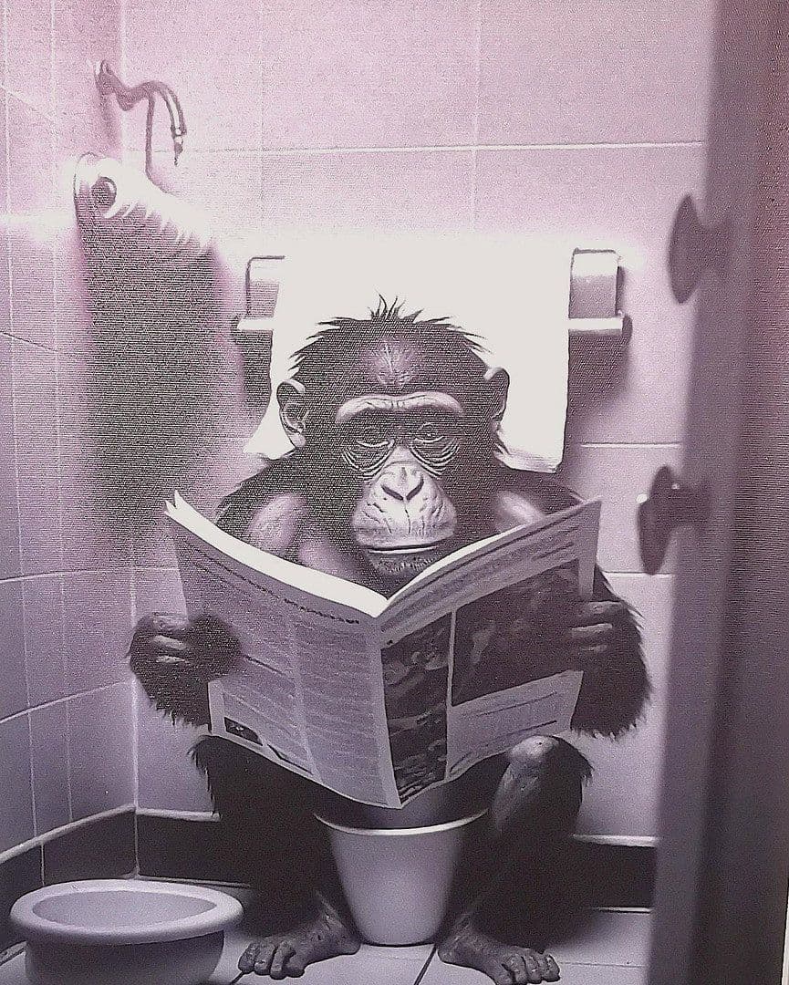 flat to rent, 15 m², Lemgo, North Rhine-Westphalia flat to rent, 15 m², Lemgo, North Rhine-Westphalia