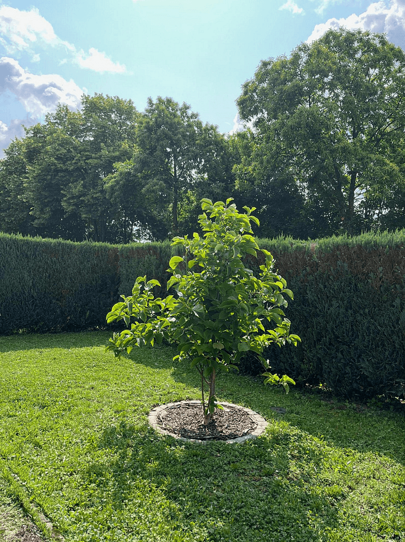 2 bedroom with open-plan kitchen flat to rent, 100 m², Mosbach, Baden-Württemberg 2 bedroom with open-plan kitchen flat to rent, 100 m², Mosbach, Baden-Württemberg