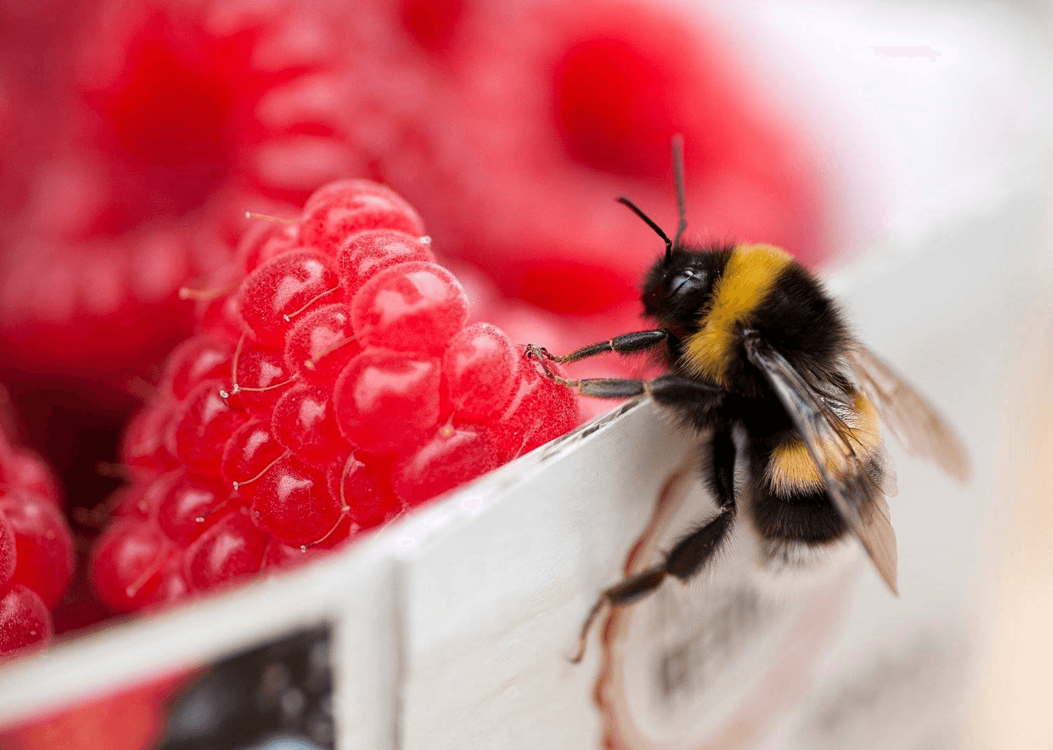 3 bedroom flat to rent, 83 m², Tostedt, Lower Saxony 3 bedroom flat to rent, 83 m², Tostedt, Lower Saxony