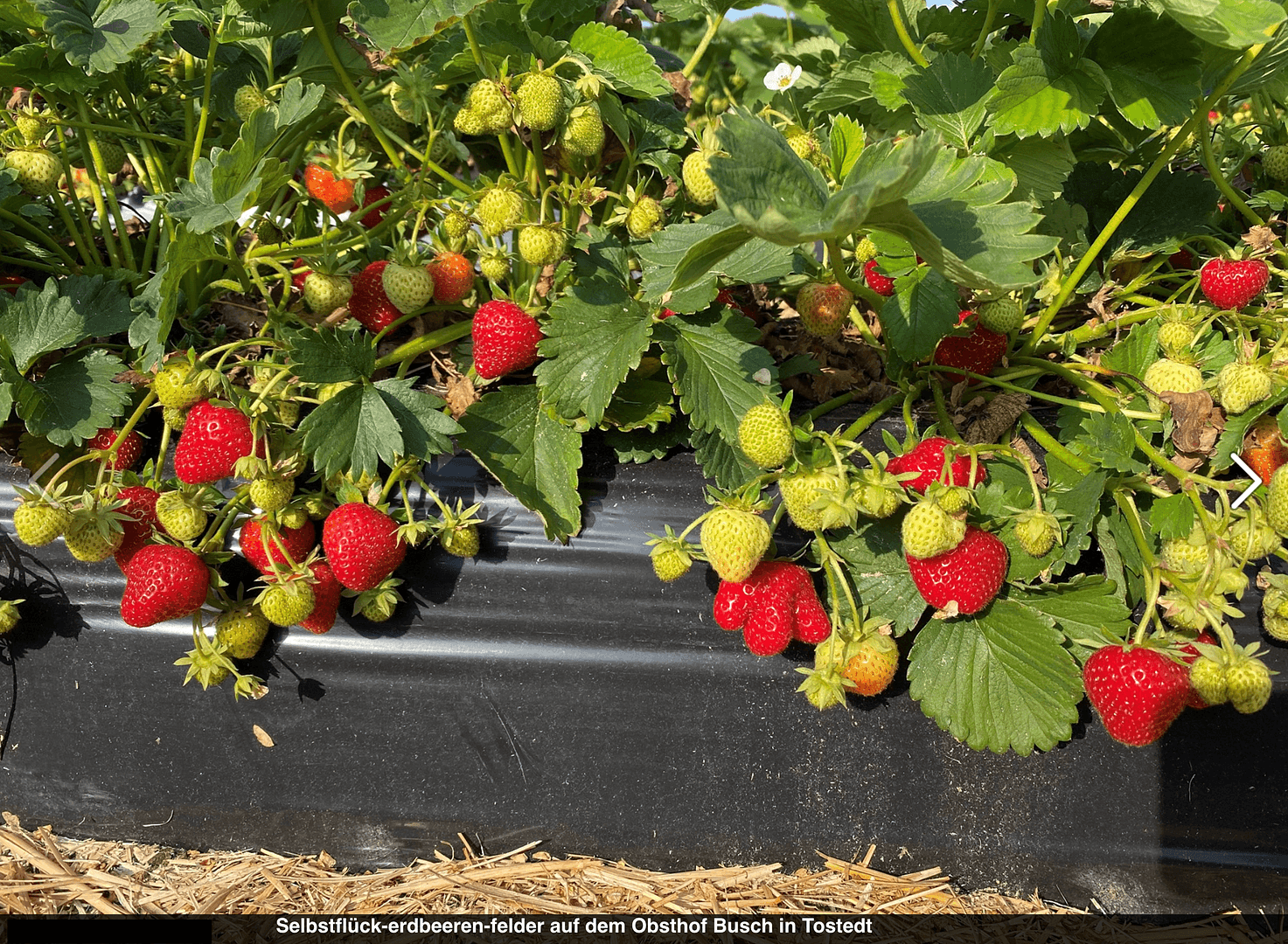 3 bedroom flat to rent, 83 m², Tostedt, Lower Saxony 3 bedroom flat to rent, 83 m², Tostedt, Lower Saxony