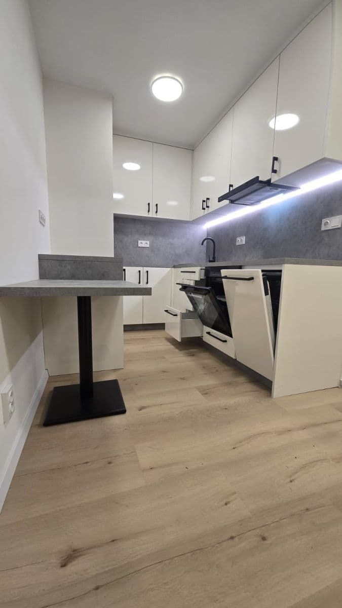 1 bedroom with open-plan kitchen flat to rent, 40 m², Pod Strání, Prague, Prague 1 bedroom with open-plan kitchen flat to rent, 40 m², Pod Strání, Prague, Prague