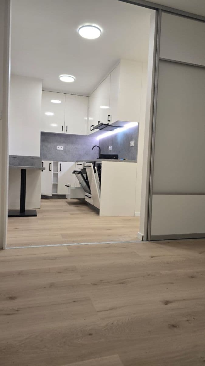 1 bedroom with open-plan kitchen flat to rent, 40 m², Pod Strání, Prague, Prague 1 bedroom with open-plan kitchen flat to rent, 40 m², Pod Strání, Prague, Prague