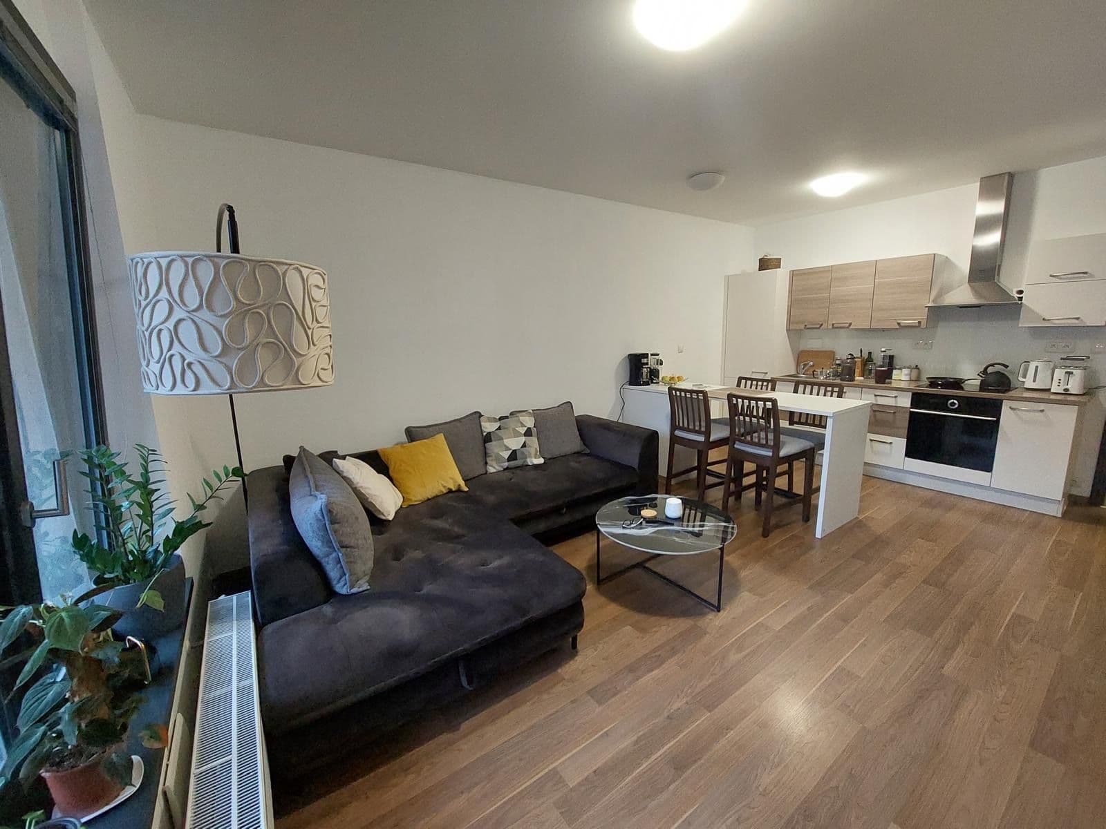 1 bedroom with open-plan kitchen flat to rent, 48 m², V Mezihoří, Prague, Prague 1 bedroom with open-plan kitchen flat to rent, 48 m², V Mezihoří, Prague, Prague