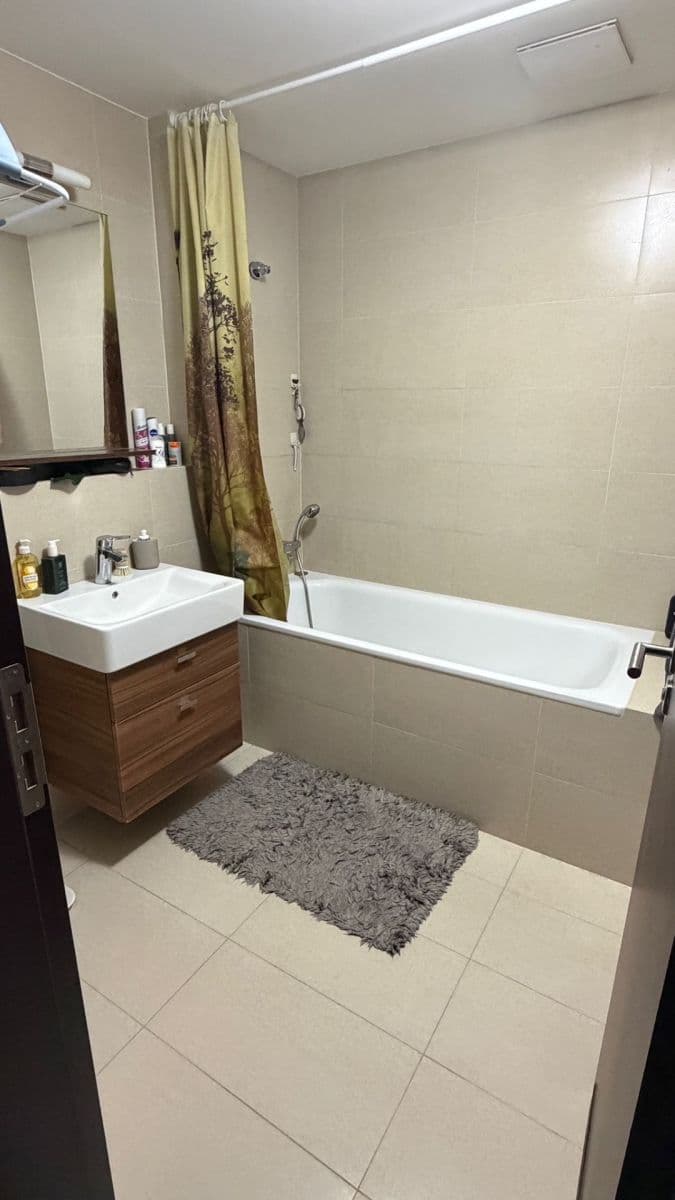 1 bedroom with open-plan kitchen flat to rent, 48 m², V Mezihoří, Prague, Prague 1 bedroom with open-plan kitchen flat to rent, 48 m², V Mezihoří, Prague, Prague