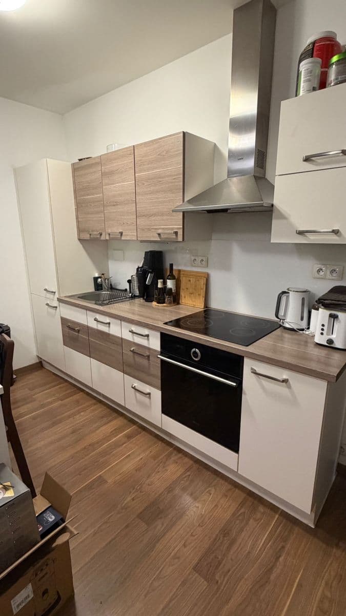 1 bedroom with open-plan kitchen flat to rent, 48 m², V Mezihoří, Prague, Prague 1 bedroom with open-plan kitchen flat to rent, 48 m², V Mezihoří, Prague, Prague