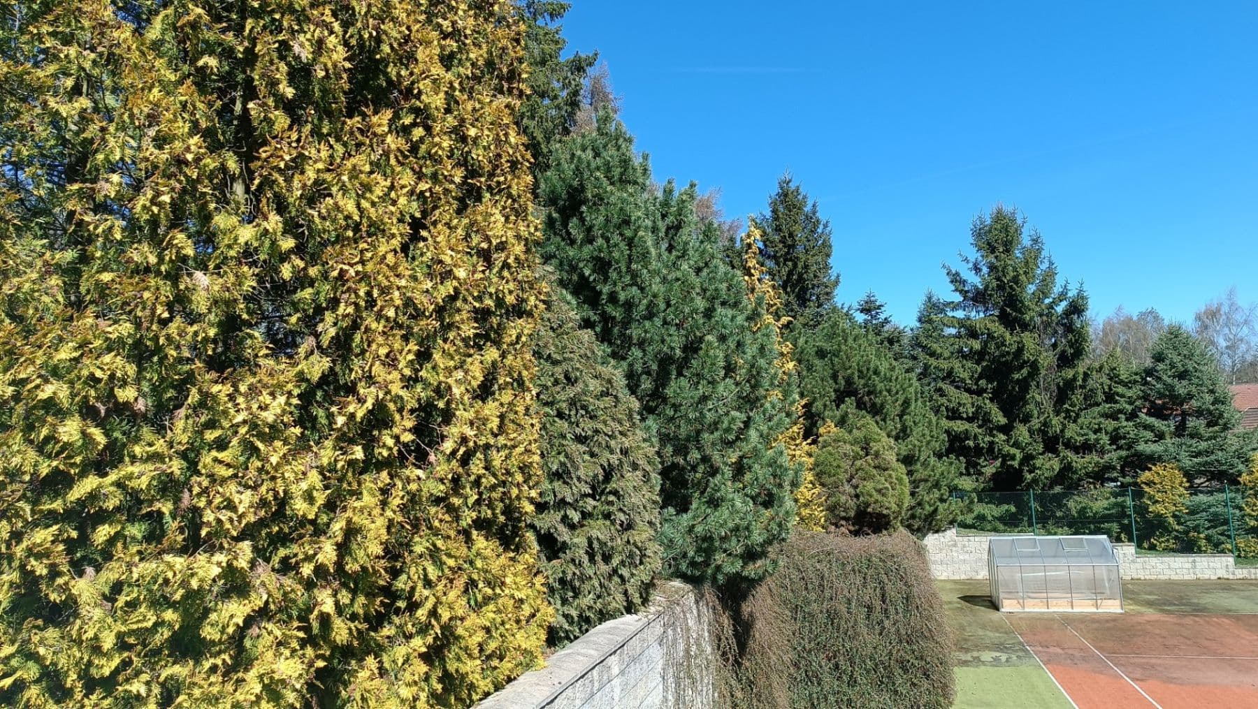 plot for sale, 1,615 m², Buřenice, Vysočina Region plot for sale, 1,615 m², Buřenice, Vysočina Region