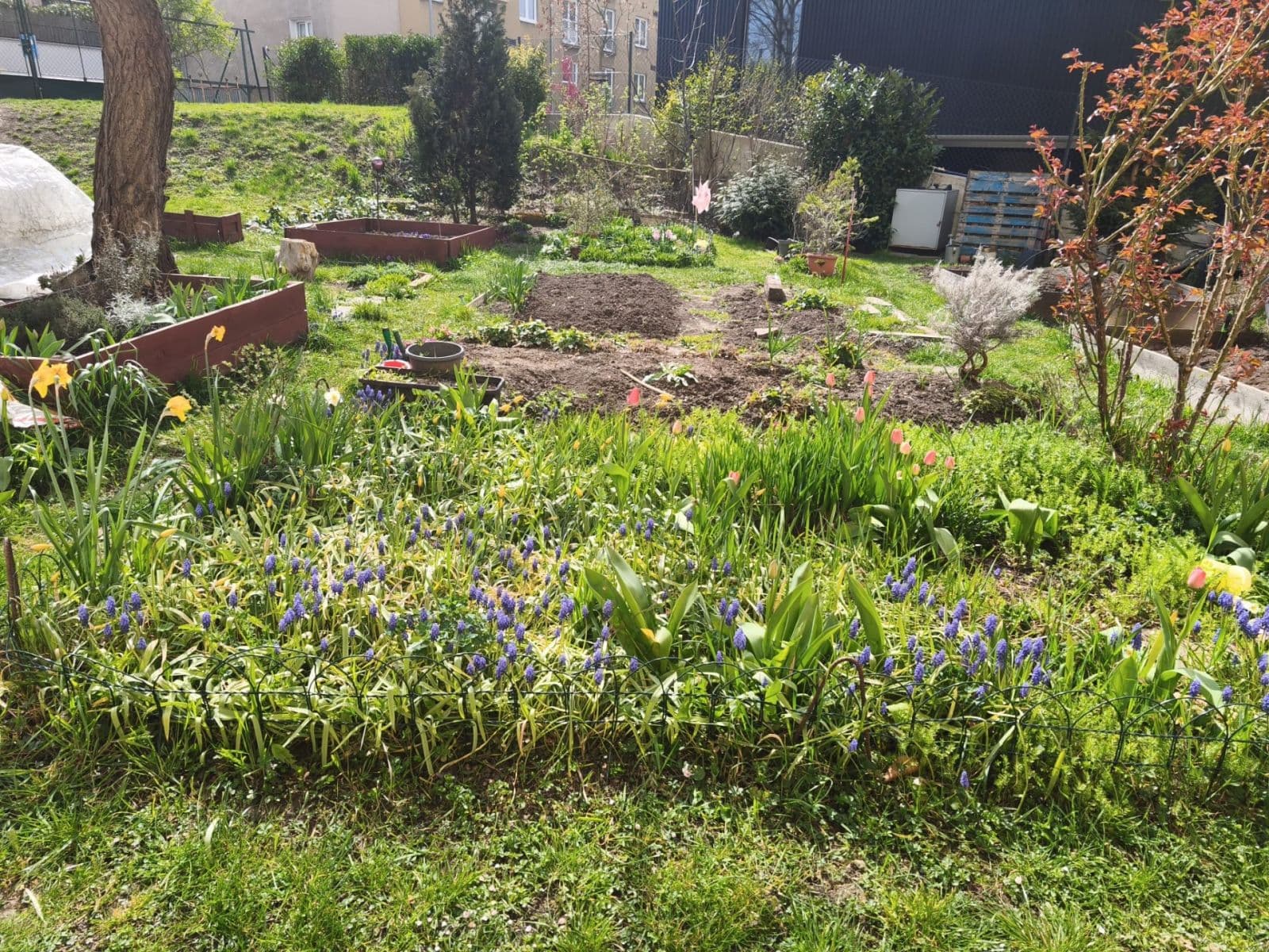 2 bedroom flat for sale, 47 m², Mirošovická, Prague, Prague 2 bedroom flat for sale, 47 m², Mirošovická, Prague, Prague