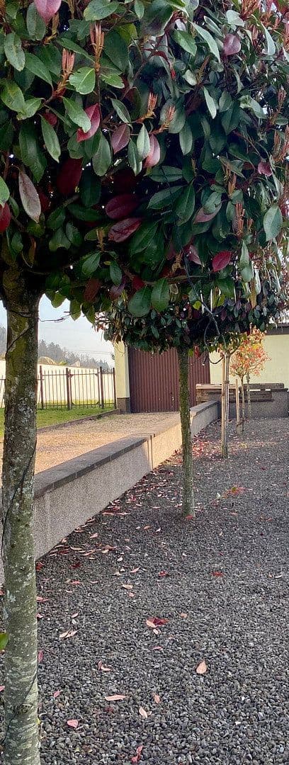 4 bedroom flat to rent, 105 m², Püttlingen, Saarland 4 bedroom flat to rent, 105 m², Püttlingen, Saarland