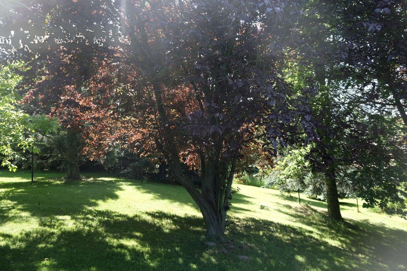 house for sale, 242 m², Claußnitz, Saxony house for sale, 242 m², Claußnitz, Saxony