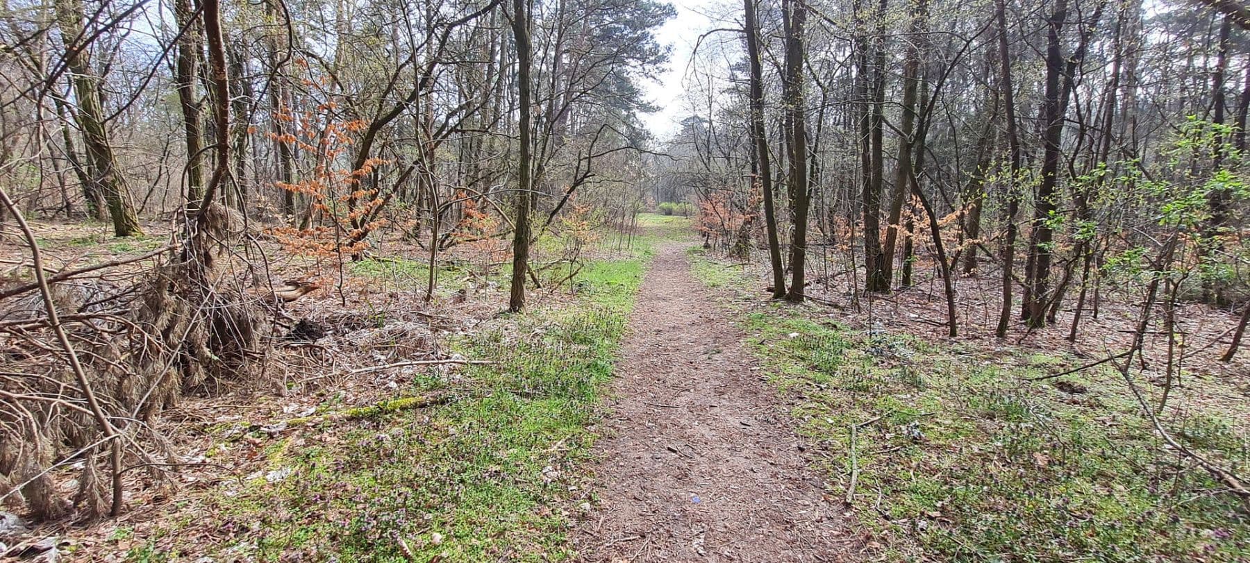 house for sale, 148 m², Storkow (Mark), Brandenburg house for sale, 148 m², Storkow (Mark), Brandenburg