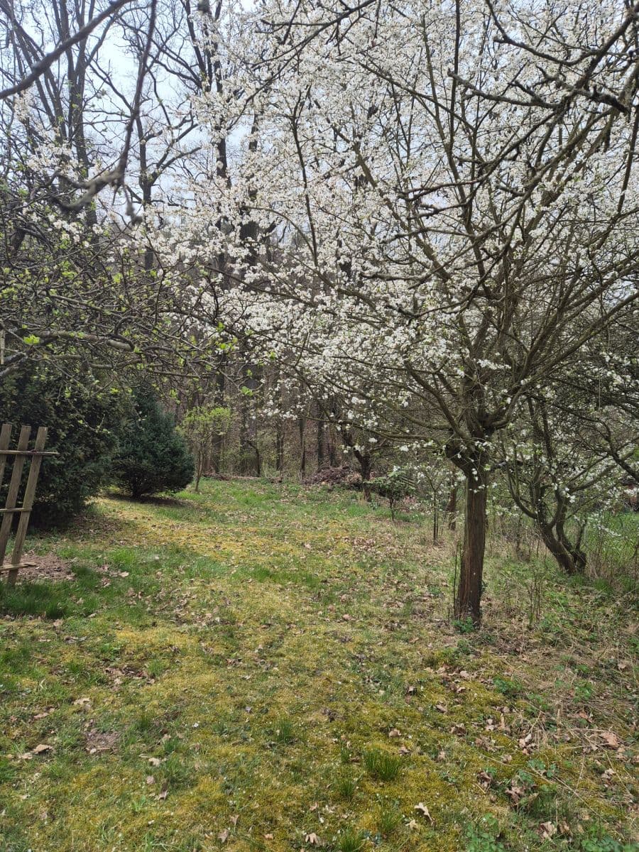 recreational property to rent, 900 m², Okrajová, Zdiby, Středočeský Region recreational property to rent, 900 m², Okrajová, Zdiby, Středočeský Region