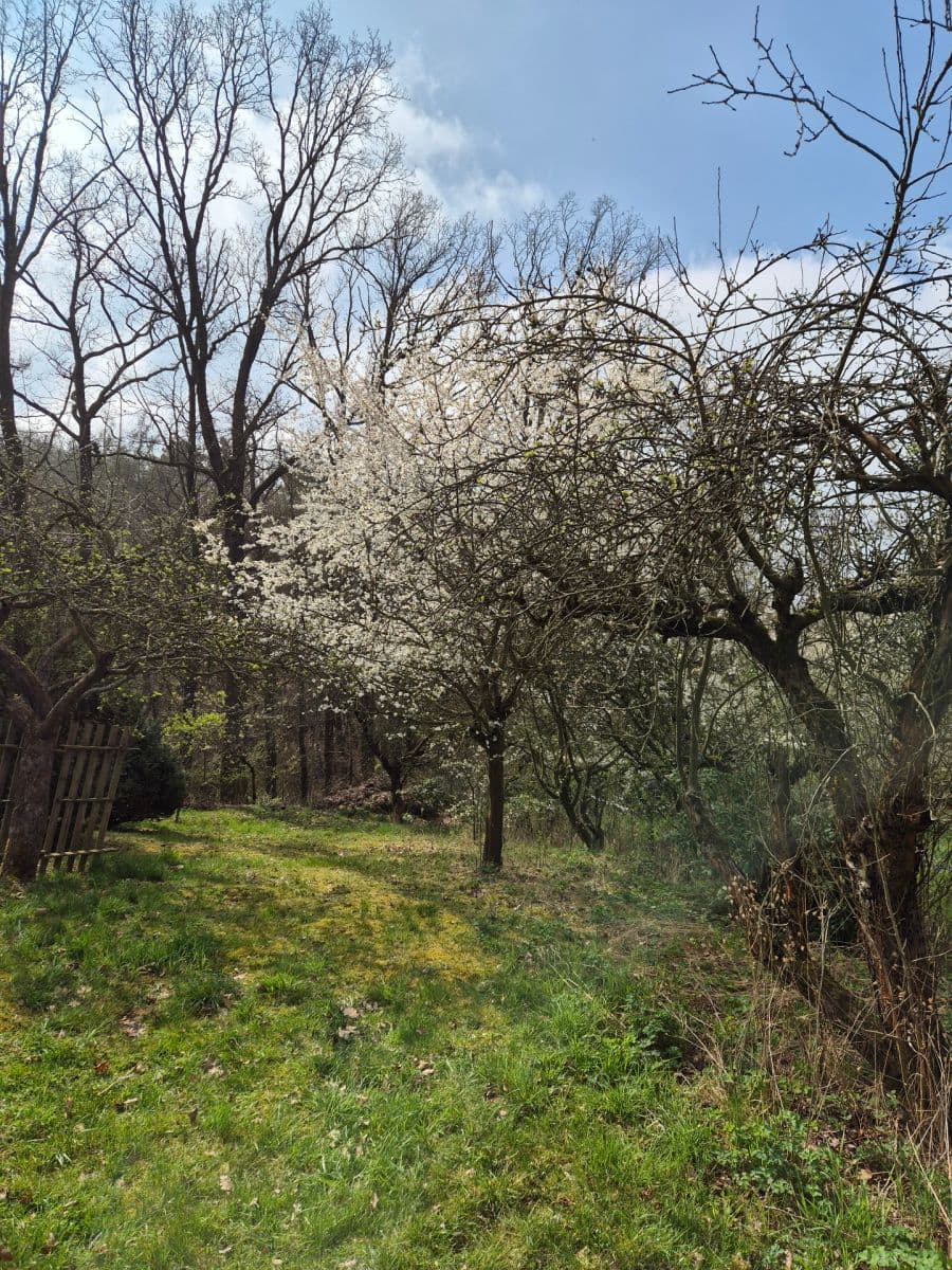 recreational property to rent, 900 m², Okrajová, Zdiby, Středočeský Region recreational property to rent, 900 m², Okrajová, Zdiby, Středočeský Region