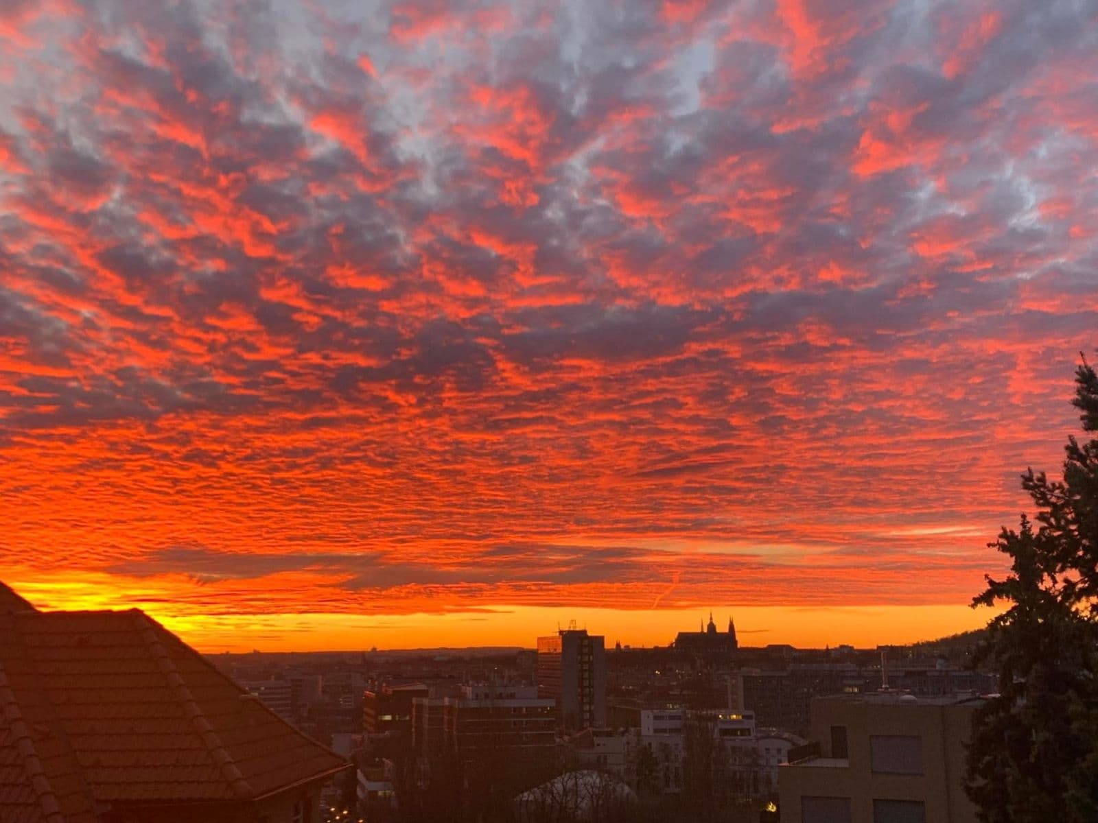 2 bedroom flat to rent, 52 m², Zengrova, Prague, Prague 2 bedroom flat to rent, 52 m², Zengrova, Prague, Prague