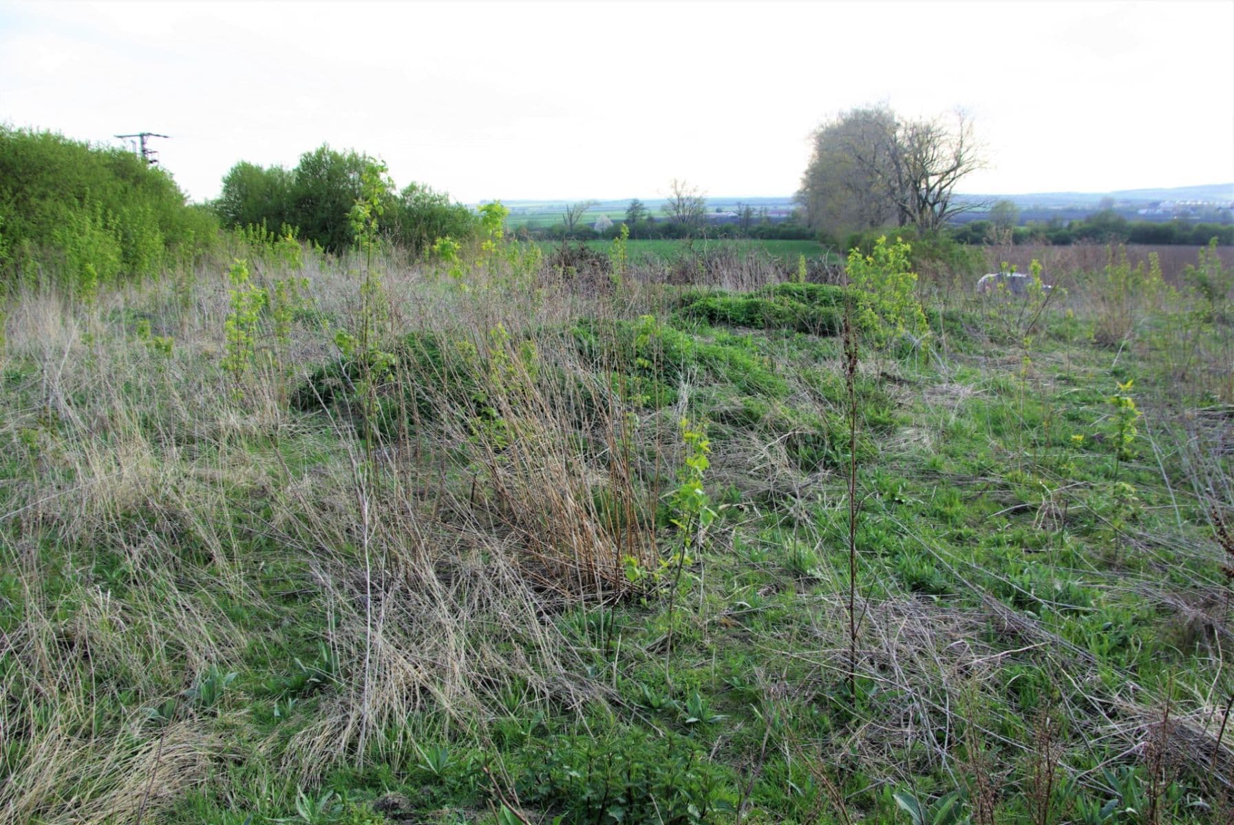 plot for sale, 3,021 m², Hněvotín, Olomoucký Region plot for sale, 3,021 m², Hněvotín, Olomoucký Region