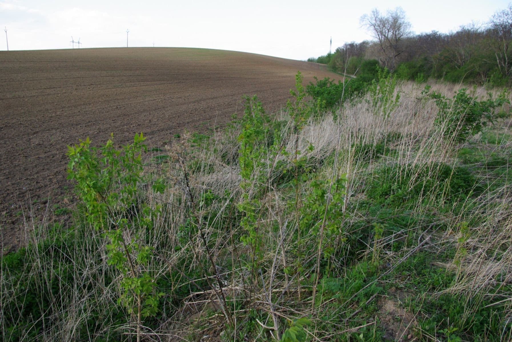 plot for sale, 3,021 m², Hněvotín, Olomoucký Region plot for sale, 3,021 m², Hněvotín, Olomoucký Region