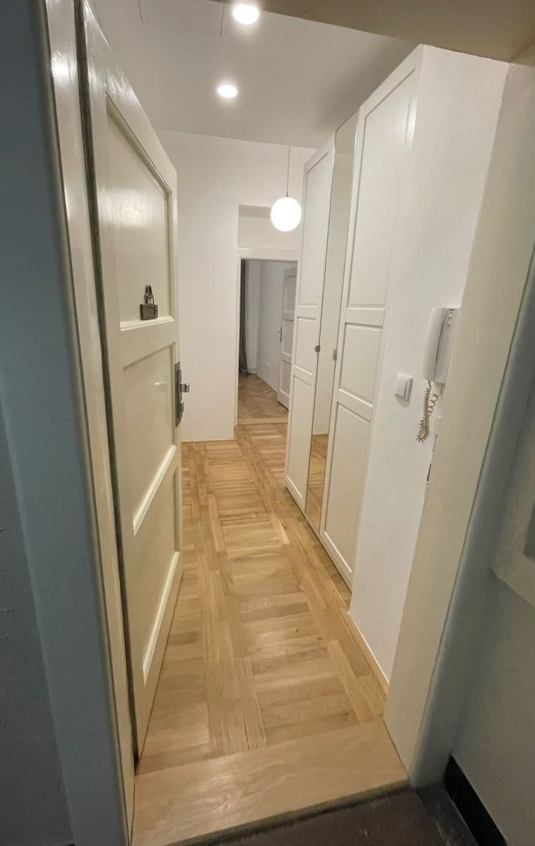 1 bedroom with open-plan kitchen flat to rent, 50 m², Biskupcova, Prague, Prague 1 bedroom with open-plan kitchen flat to rent, 50 m², Biskupcova, Prague, Prague