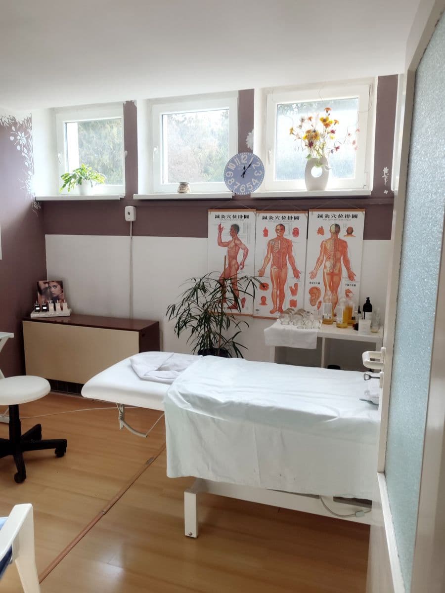 non-residential property for sale, 57 m², Sídlisko Dušana Jurkoviča, Brezová pod Bradlom, Trenčiansky Region non-residential property for sale, 57 m², Sídlisko Dušana Jurkoviča, Brezová pod Bradlom, Trenčiansky Region