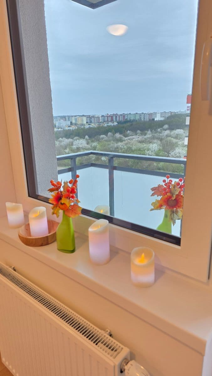 Studio flat to rent, 31 m², Hermanové, Prague, Prague Studio flat to rent, 31 m², Hermanové, Prague, Prague