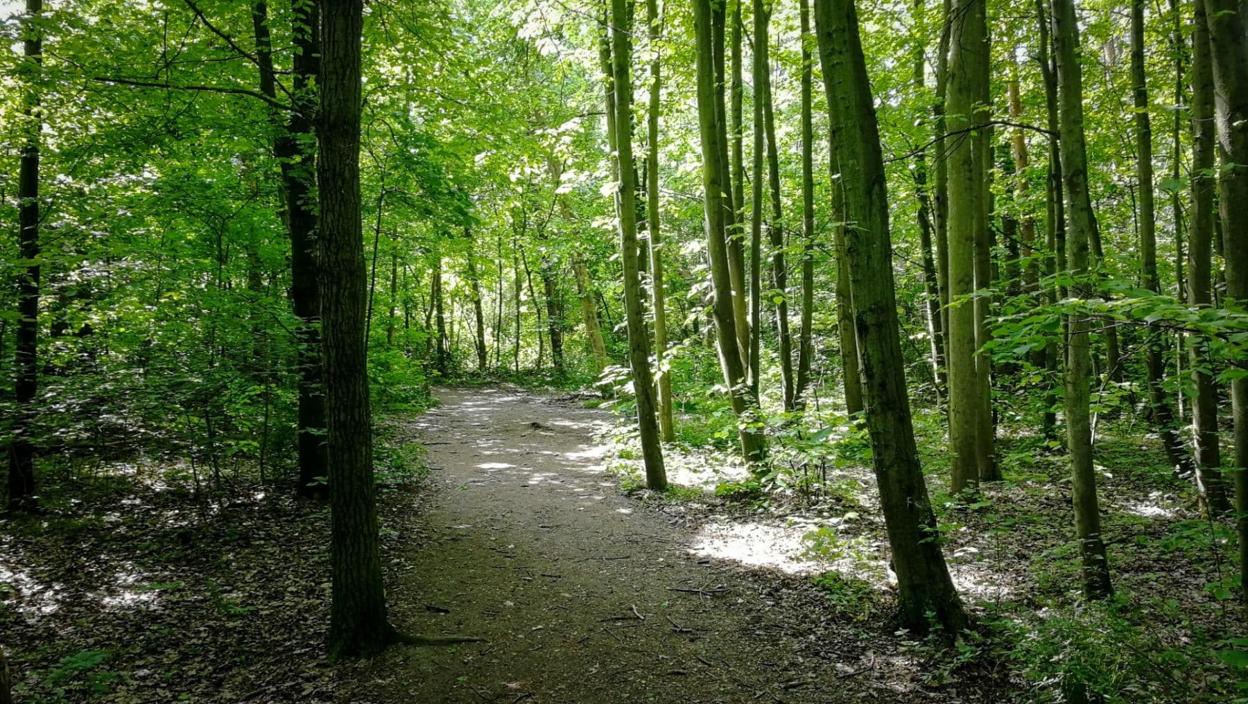 Studio flat to rent, 31 m², Hermanové, Prague, Prague Studio flat to rent, 31 m², Hermanové, Prague, Prague