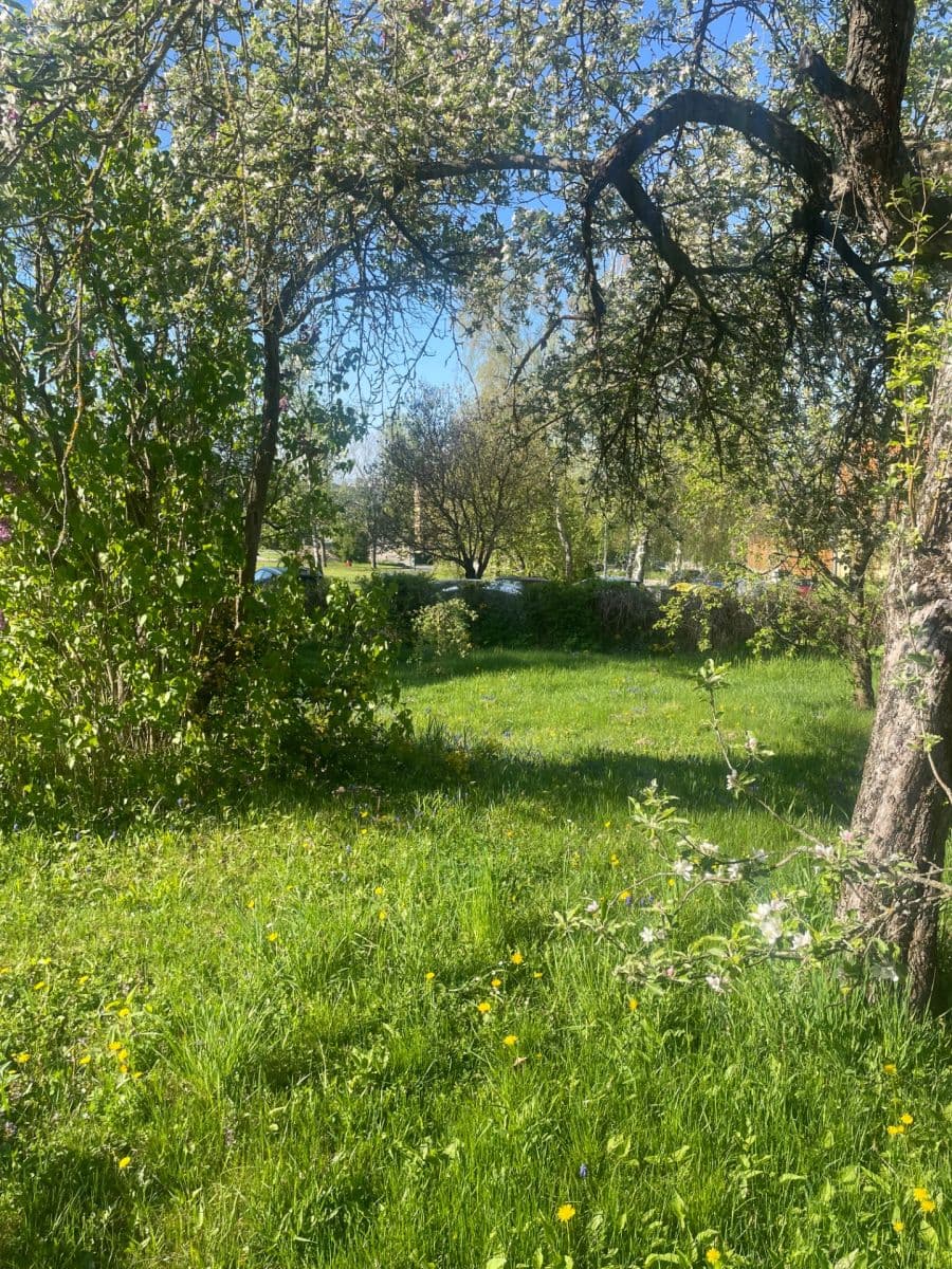 plot to rent, 400 m², Brno, Jihomoravský Region plot to rent, 400 m², Brno, Jihomoravský Region