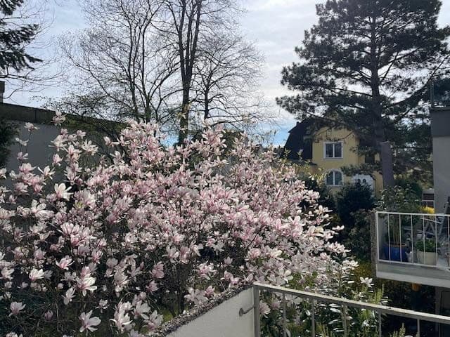 2 bedroom flat for sale, 61 m², Tiergartenstraße 150, Hanover, Lower Saxony 2 bedroom flat for sale, 61 m², Tiergartenstraße 150, Hanover, Lower Saxony