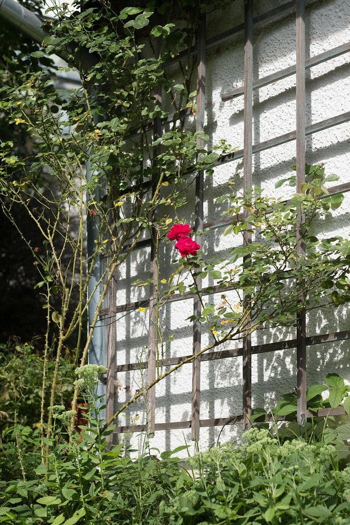 house for sale, 295 m², Wildenberg, Bavaria house for sale, 295 m², Wildenberg, Bavaria