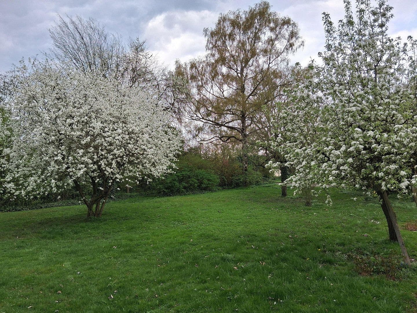 house for sale, 130 m², Korbach, Hesse house for sale, 130 m², Korbach, Hesse