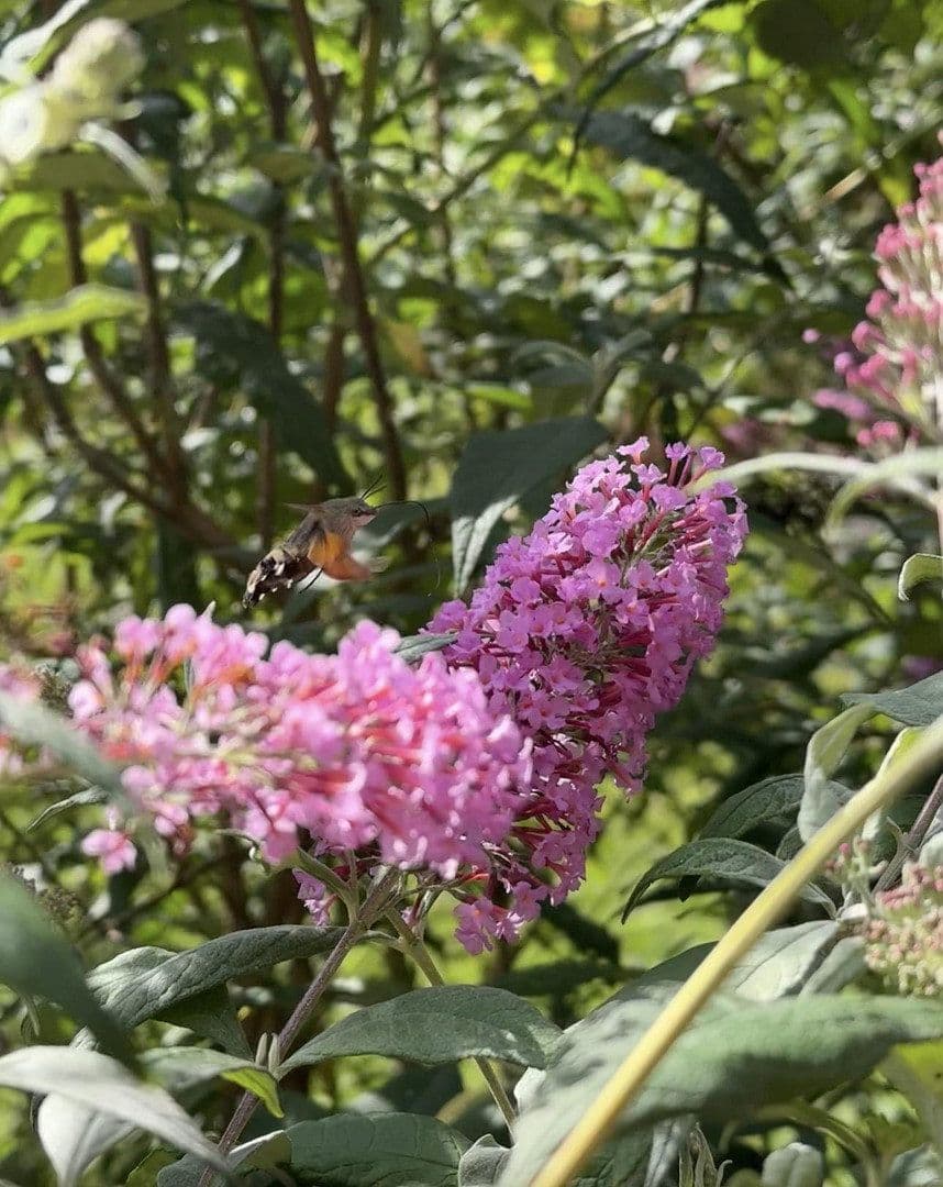 house for sale, 131 m², Neukirchen bei Sulzbach-Rosenberg, Bavaria house for sale, 131 m², Neukirchen bei Sulzbach-Rosenberg, Bavaria