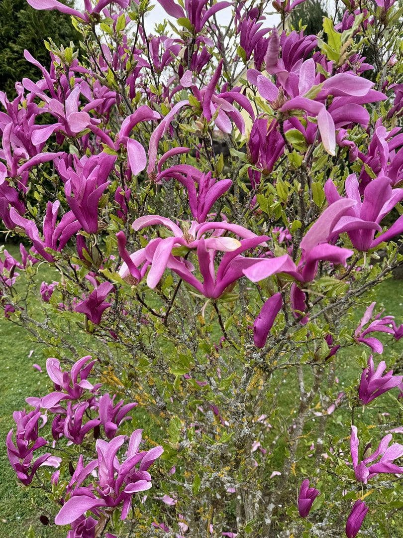 house for sale, 131 m², Neukirchen bei Sulzbach-Rosenberg, Bavaria house for sale, 131 m², Neukirchen bei Sulzbach-Rosenberg, Bavaria