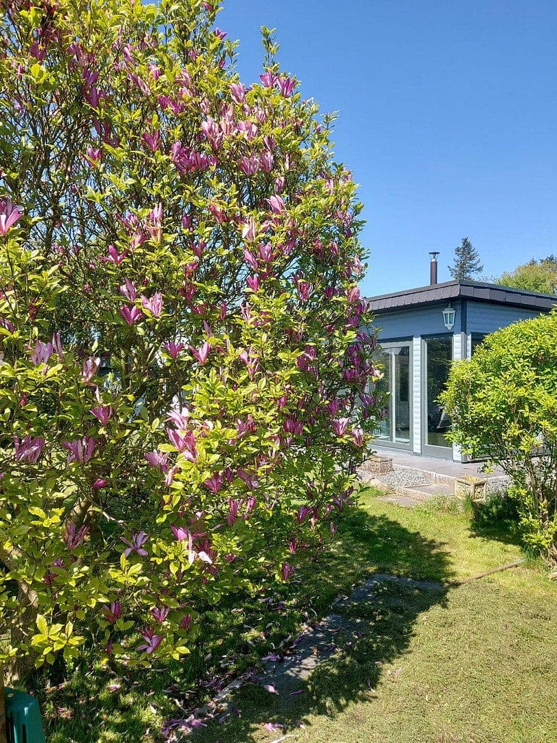 house for sale, 45 m², Scharbeutz, Schleswig-Holstein house for sale, 45 m², Scharbeutz, Schleswig-Holstein