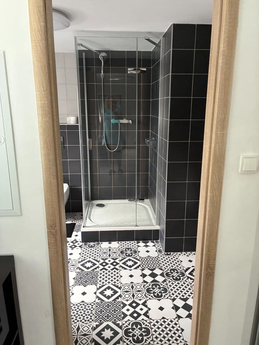 Studio flat to rent, 45 m², U Svodnice, Prague, Prague Studio flat to rent, 45 m², U Svodnice, Prague, Prague