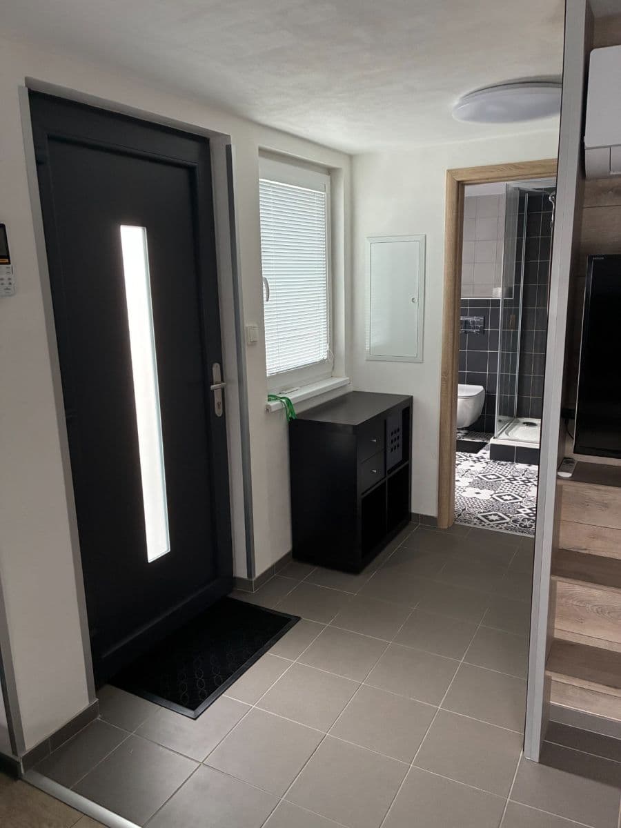 Studio flat to rent, 45 m², U Svodnice, Prague, Prague Studio flat to rent, 45 m², U Svodnice, Prague, Prague