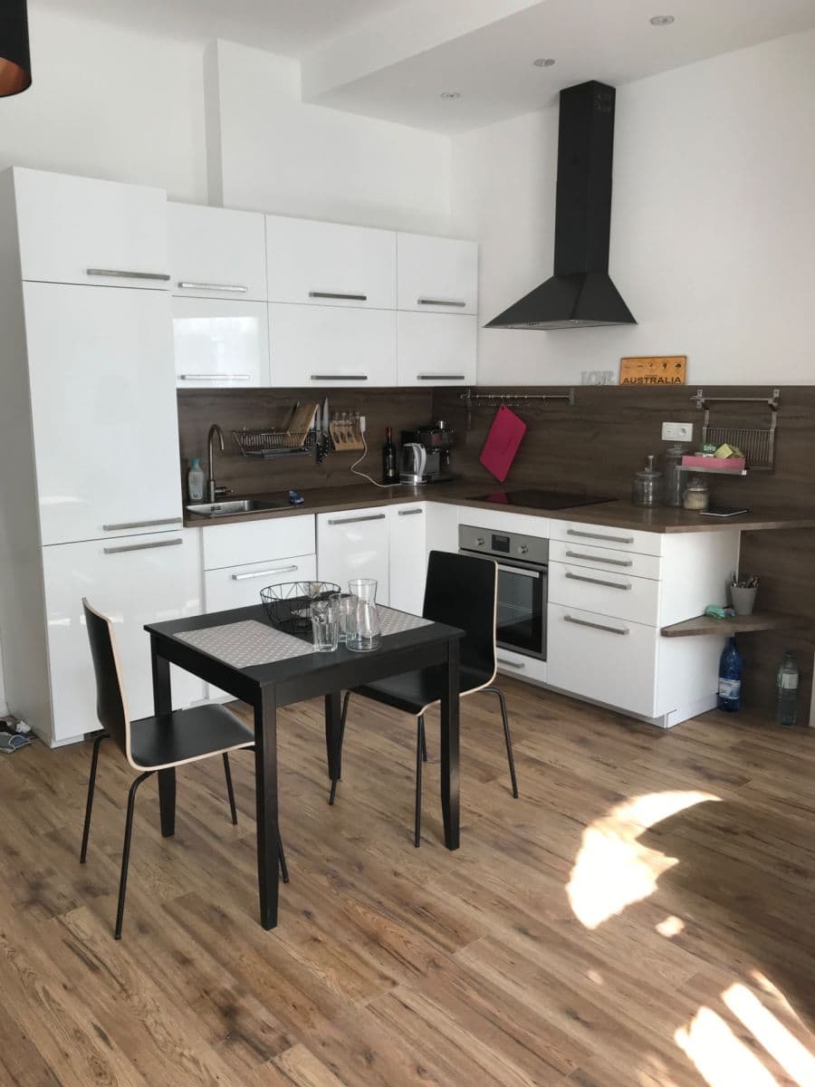 1 bedroom with open-plan kitchen flat to rent, 46 m², Na Spojce, Prague, Prague 1 bedroom with open-plan kitchen flat to rent, 46 m², Na Spojce, Prague, Prague