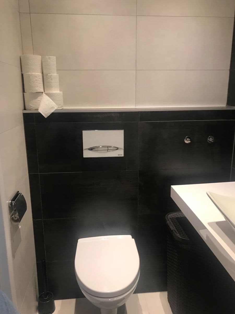 1 bedroom with open-plan kitchen flat to rent, 46 m², Na Spojce, Prague, Prague 1 bedroom with open-plan kitchen flat to rent, 46 m², Na Spojce, Prague, Prague