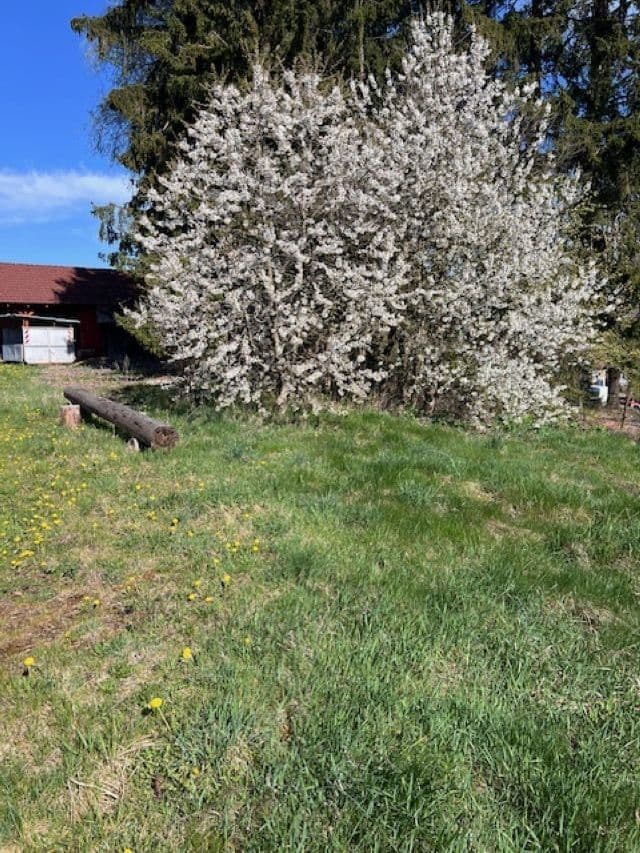 2 bedroom with open-plan kitchen flat to rent, 75 m², Chotoviny, Jihočeský Region 2 bedroom with open-plan kitchen flat to rent, 75 m², Chotoviny, Jihočeský Region