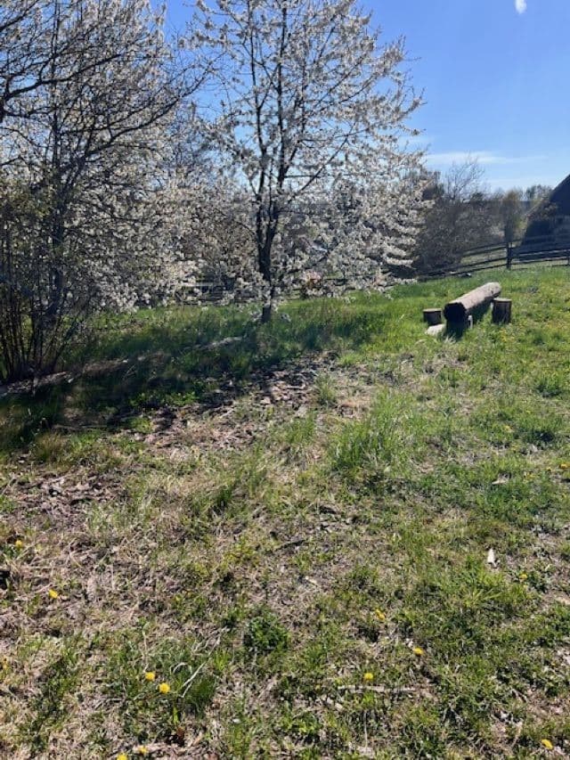 2 bedroom with open-plan kitchen flat to rent, 75 m², Chotoviny, Jihočeský Region 2 bedroom with open-plan kitchen flat to rent, 75 m², Chotoviny, Jihočeský Region