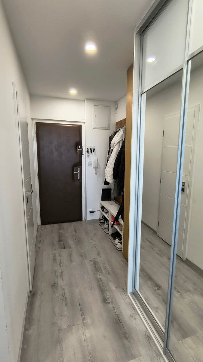 1 bedroom with open-plan kitchen flat for sale, 41 m², Mendelova, Prague, Prague 1 bedroom with open-plan kitchen flat for sale, 41 m², Mendelova, Prague, Prague