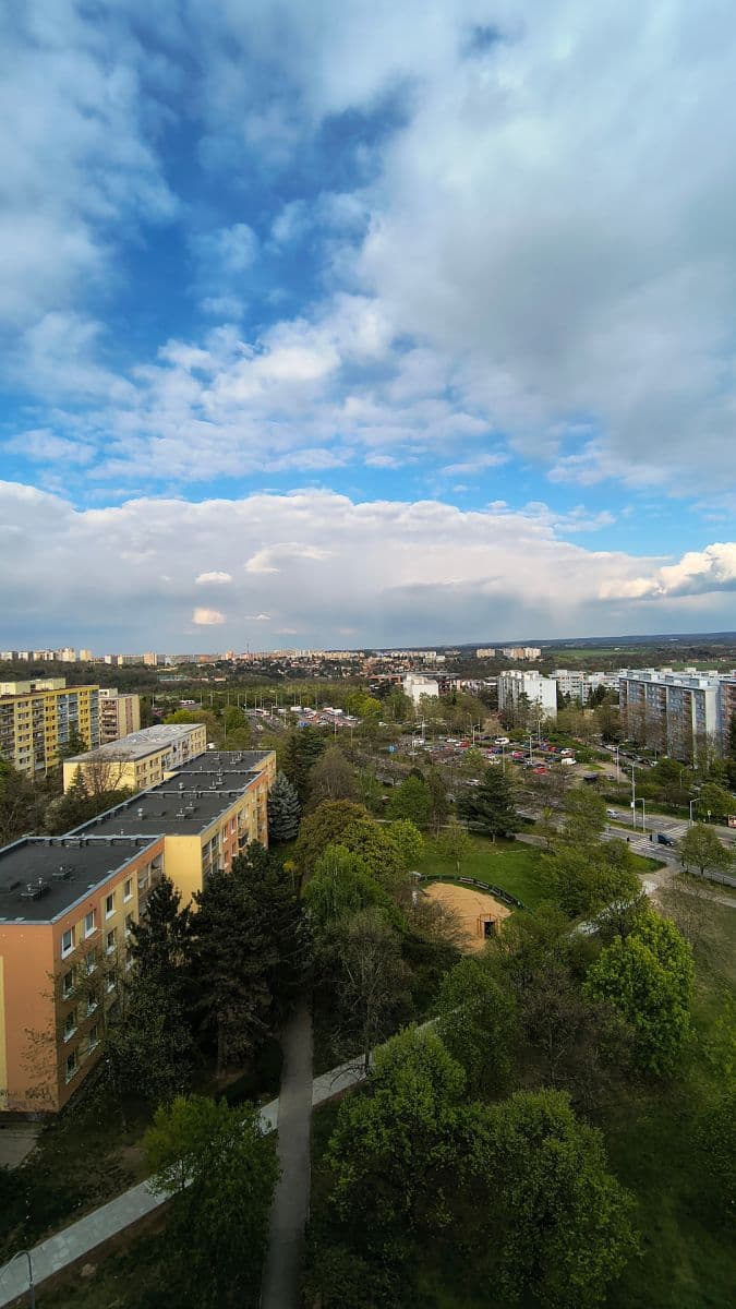 1 bedroom with open-plan kitchen flat for sale, 41 m², Mendelova, Prague, Prague 1 bedroom with open-plan kitchen flat for sale, 41 m², Mendelova, Prague, Prague