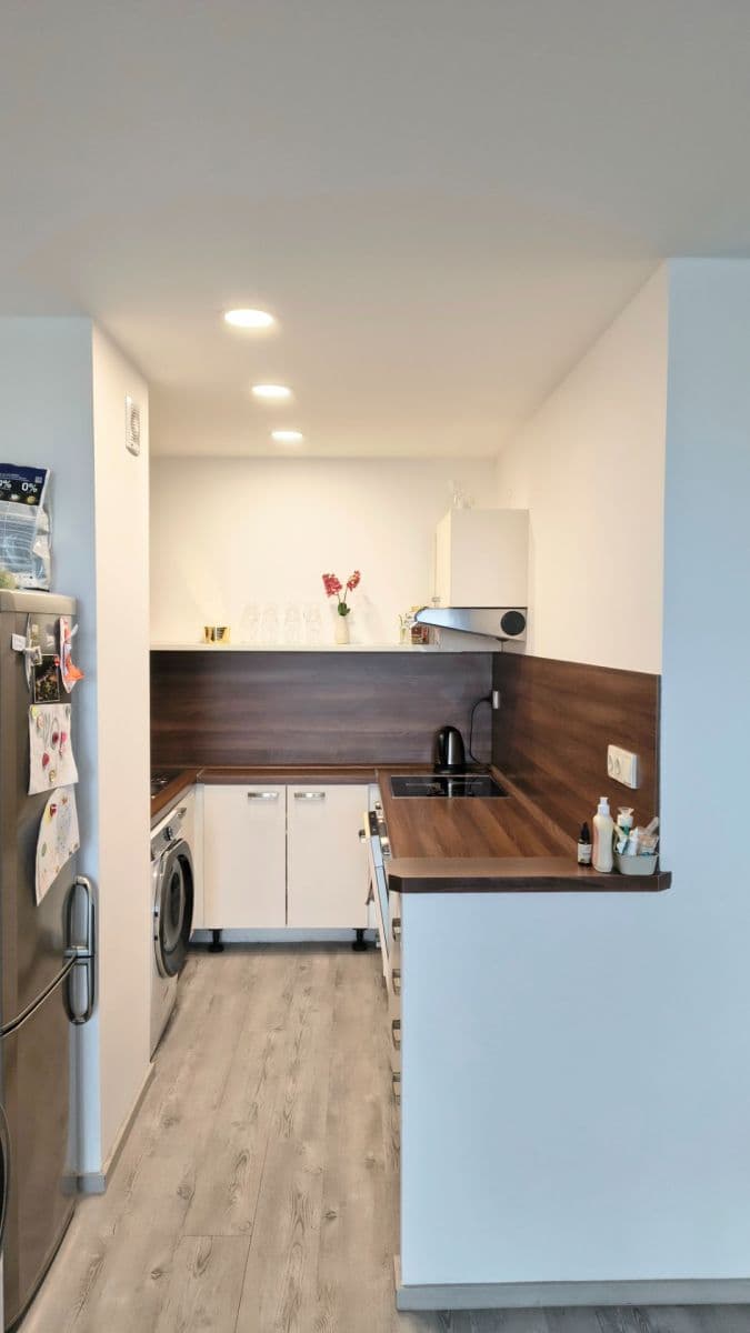 1 bedroom with open-plan kitchen flat for sale, 41 m², Mendelova, Prague, Prague 1 bedroom with open-plan kitchen flat for sale, 41 m², Mendelova, Prague, Prague