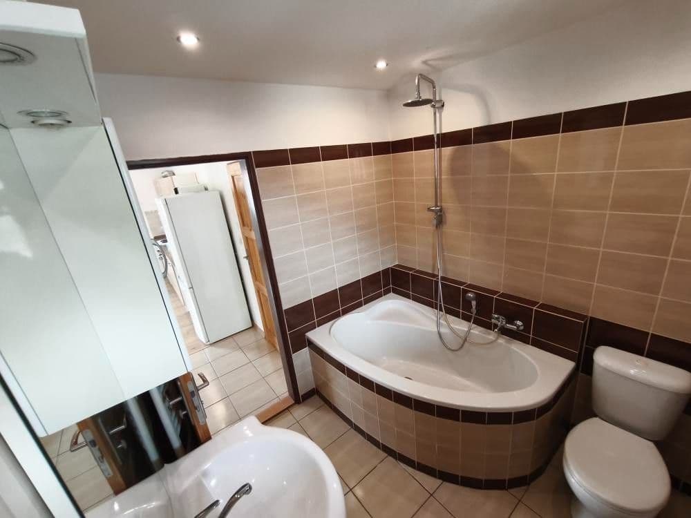 1 bedroom with open-plan kitchen flat to rent, 50 m², Lnářská, Prague, Prague 1 bedroom with open-plan kitchen flat to rent, 50 m², Lnářská, Prague, Prague