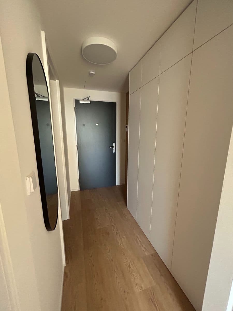 Studio flat to rent, 42 m², třída Generála Píky, Brno, Jihomoravský Region Studio flat to rent, 42 m², třída Generála Píky, Brno, Jihomoravský Region