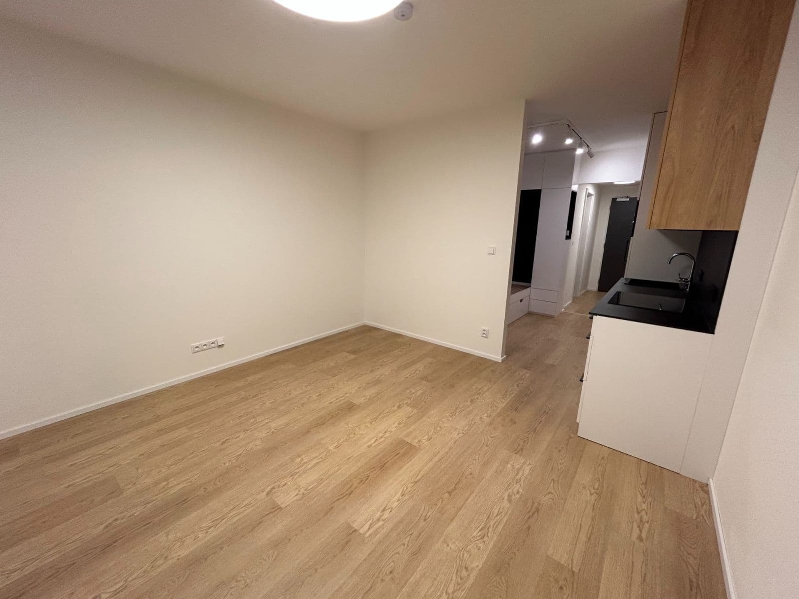 Studio flat to rent, 42 m², třída Generála Píky, Brno, Jihomoravský Region Studio flat to rent, 42 m², třída Generála Píky, Brno, Jihomoravský Region