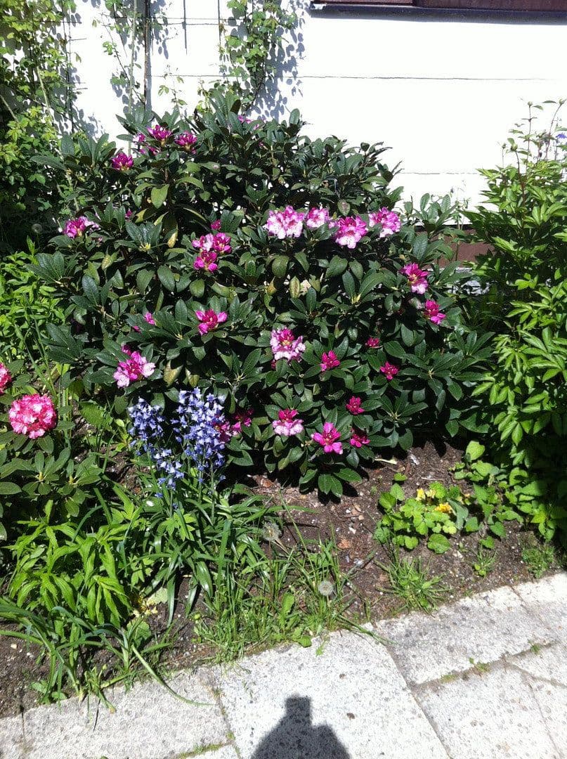 house for sale, 230 m², München, Bavaria house for sale, 230 m², München, Bavaria