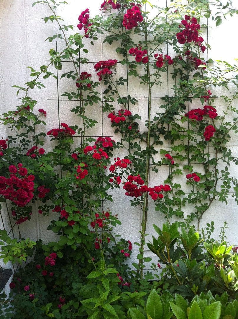 house for sale, 230 m², München, Bavaria house for sale, 230 m², München, Bavaria