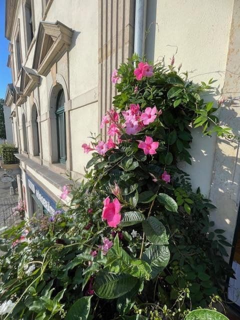 4 bedroom flat to rent, 88 m², Österreicher Str. 44, Dresden, Saxony 4 bedroom flat to rent, 88 m², Österreicher Str. 44, Dresden, Saxony