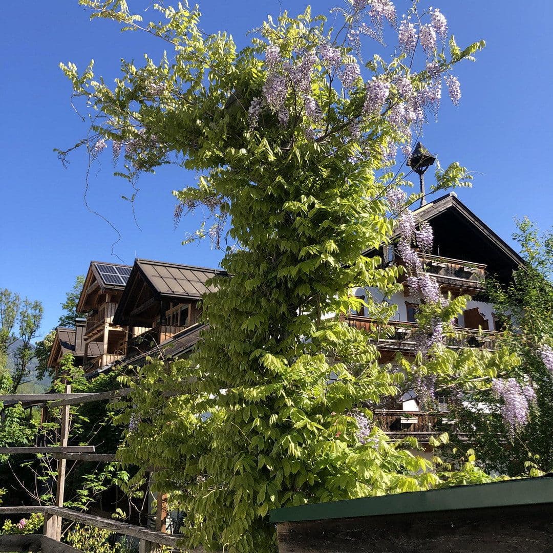 1 bedroom with open-plan kitchen flat for sale, 64 m², Grubhof 37, St. Martin Bei Lofer, Salzburg 1 bedroom with open-plan kitchen flat for sale, 64 m², Grubhof 37, St. Martin Bei Lofer, Salzburg